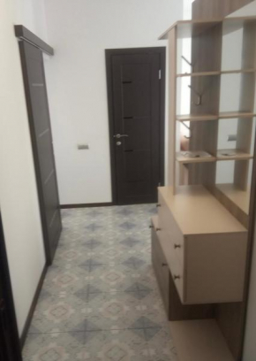 VIP apart 484 shavishvili 7 A4